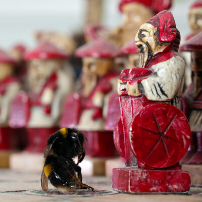Bumble Bee - Army